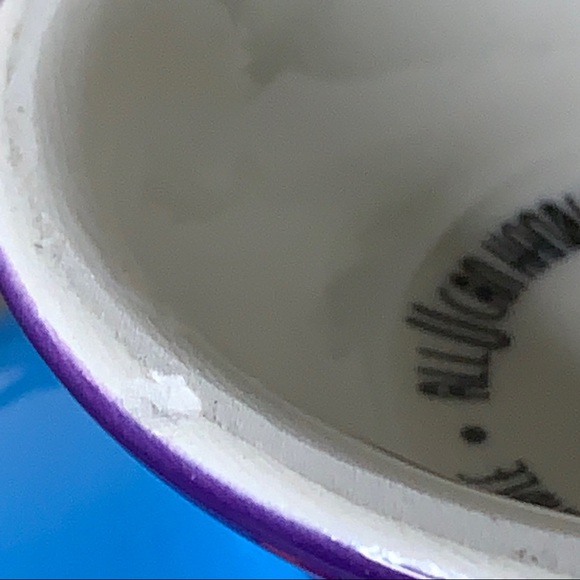 ALL U You CAN HANDLE Circle MultiColor Divided Bowl I Toppings I Ice Cream - Picture 4 of 6